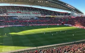 为什么聪明人更容易输钱？（为何越聪明越容易输钱？）