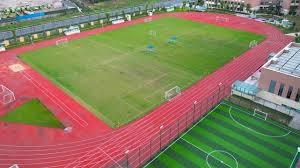 0买量，结果收入扑了？Supercell新游数据如何？